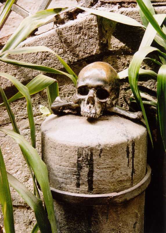 skull from Santa Maria delle Anime del Purgatorio ad Arco