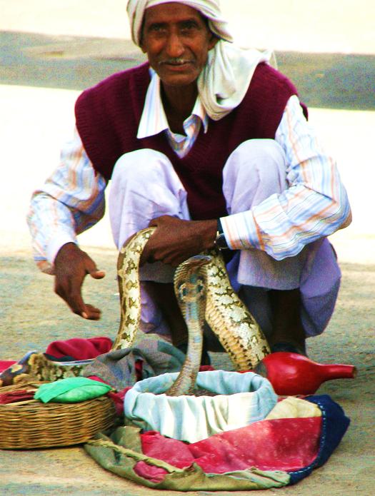 snake charmer, Agra