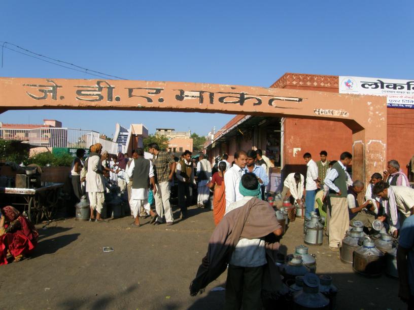 milk market, Jaipur