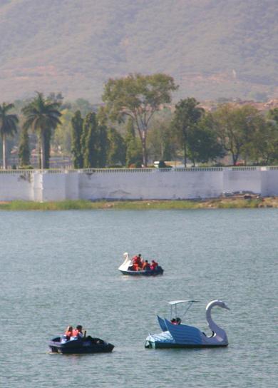 ride a white swan, Fateh Sagar Lake